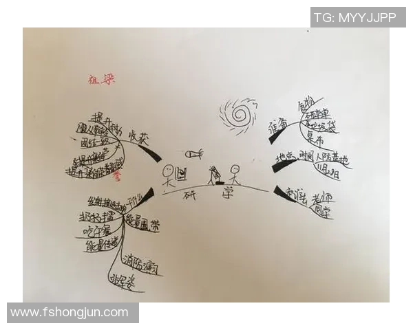 我在阳光下追逐梦想的脚步学会了踢足球的快乐与成长 我在阳光下追逐梦想的脚步学会了踢足球的快乐与成长